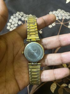 Timex Vista Rare Model.