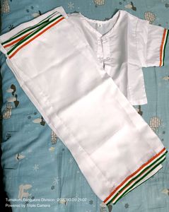 Bharat Mata Fancy Dress