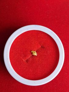 Gold Nose Pin