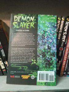 Demon Slayer Vol 13