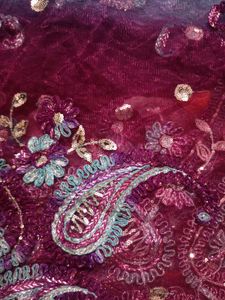 Double Shade Net With Full Dupptta Embroidery