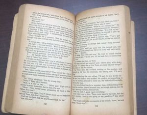 Lucy Crown by Irwin Shaw