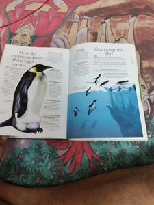 Encyclopedia Of The Natural World