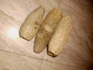 Best Natural Loofah Sponge