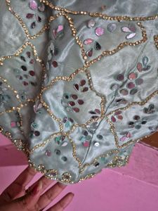 Embellished Ethnic Lehenga