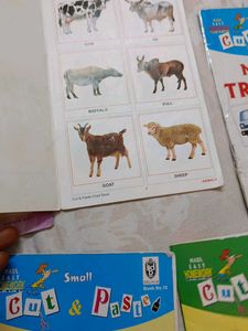 Set of 5 Cut &amp; Paste Chart Books for Kids