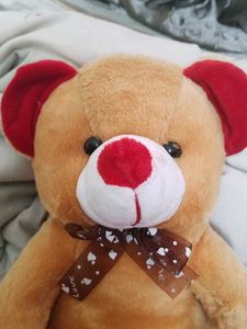 Cute Teddy Bear