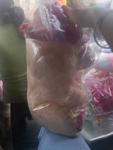 Cute Teddy Bear Soft Plush Toy for Kids &amp; Gifting