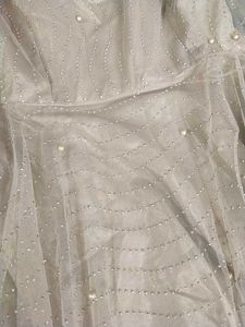 Net Ethnic Gown