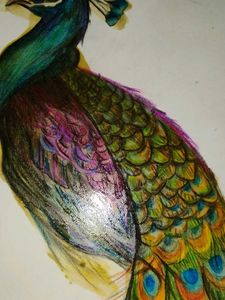 Vibrant Peacock Feather Artwork