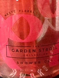 Dream. Immerse. Play. Shower Gel