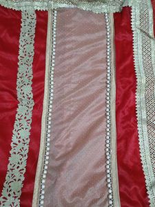 Red Velvet Saree with Embellished Border