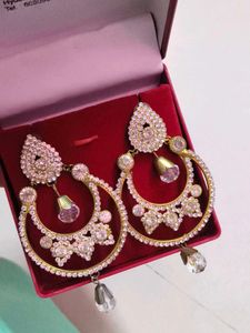 Stunning Crystal Hoop Earrings