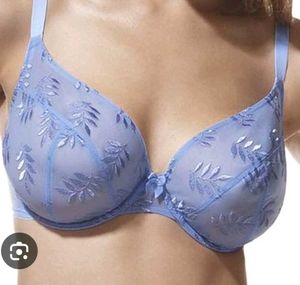 Blue Embroidered Lace Bra