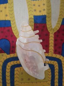 Shell Hair Clip