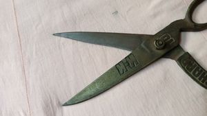Scissor Now Not Working.