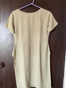 Light Green Cream Beaded Designer Top For Ladies