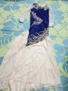 Elegant Ethnic Gown