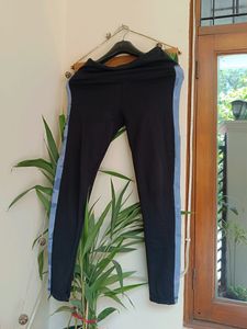 Gym Lower For Women