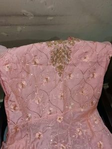 Beautiful Peach Embellished Gown