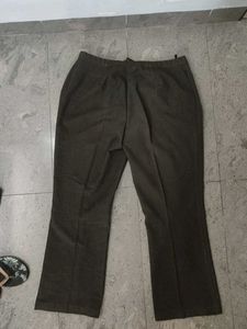 Elegant Dark Brown Straight Leg Pants