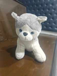 Husky plushy