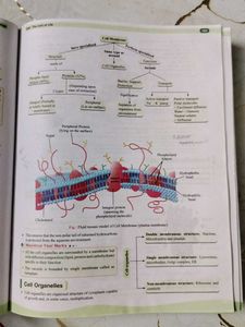 Objective NCERT Punch Biology Book