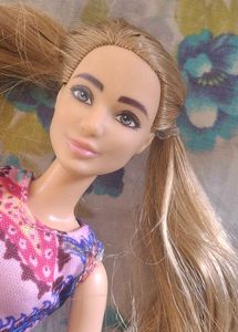 Barbie  Fashionista  Doll