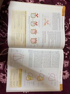 Textbook of Clinical Embryology