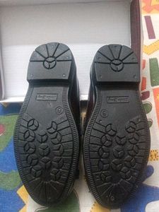 BRAND NEW  Brown Loafers