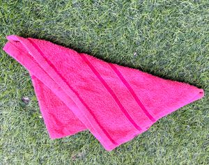 Two Hand towels Like New