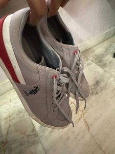 U.S. Polo Assn. Sneakers - Size 9