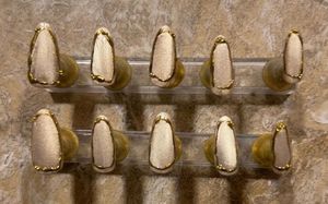 Designer Press-On Nails with Gold Accent