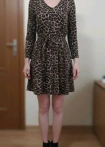 Animal Print Mini Dress