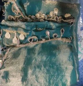 Stylish Shimmery Saree