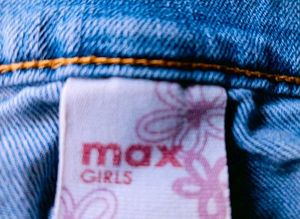 Max Embroidered Blue Denim Shorts
