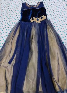 Elegant Blue Tulle Gown