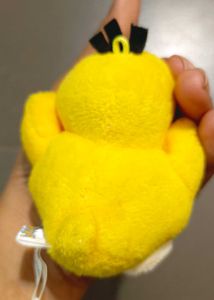 psyduck