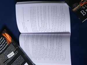 Martyr's Fire: Book 3 in the Merlin's