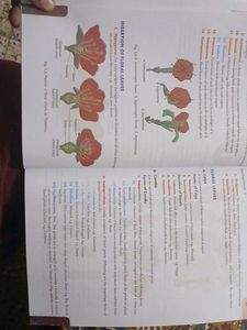 Biology Lab Book Class 11CBSE