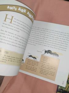 Children's Story Books Short Stories