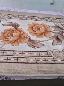 Fuzzy Brown and Cream Throw Blanket🩷