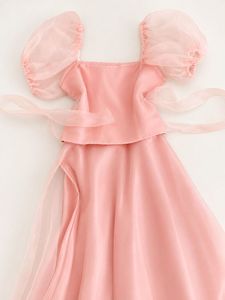 Blush Pink Organza 2-Piece Co-ord Set