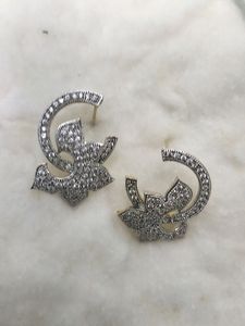 Silver Colour Earrings