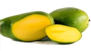 Big 🥭 Mango Plant 🌵