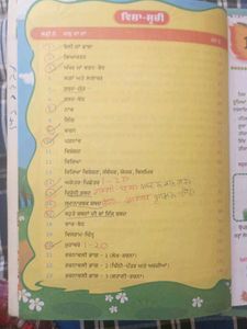 Punjabi Language Book for Kids