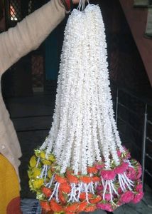 Khushboo with Marigold  Strings