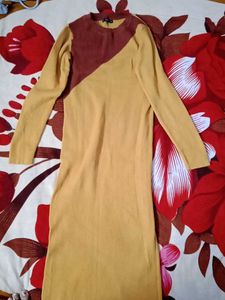 Winter Brown & Mustard Dress