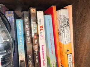 Collection of Popular Fiction Books