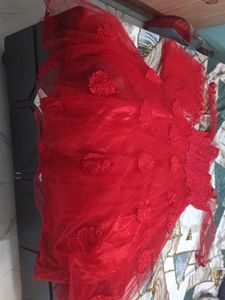 Beautiful Red Embellished Gowns